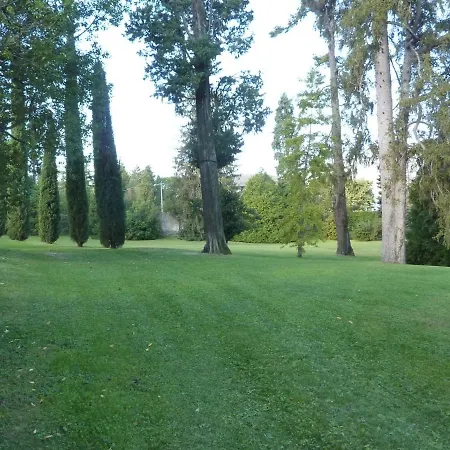 Hermitage Mimosa *