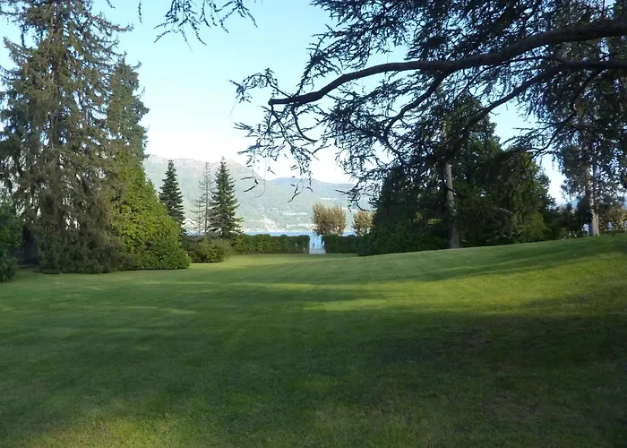 Hermitage Mimosa * 波尔托瓦尔特拉瓦利亚