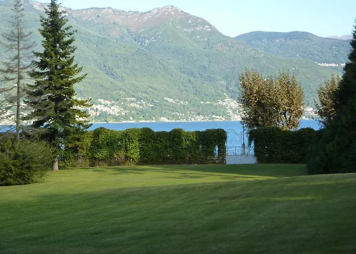 Hermitage Mimosa 포르토 발트라바글리아