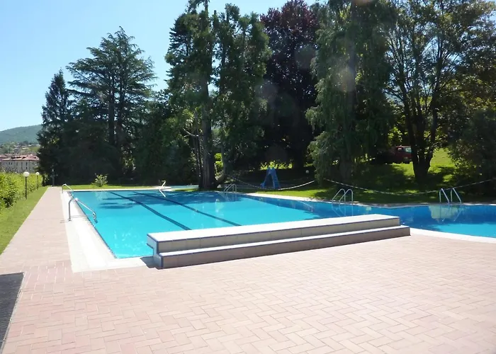 Hermitage Mimosa Daire *