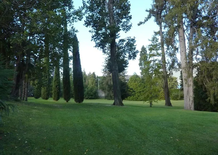 Daire Hermitage Mimosa *