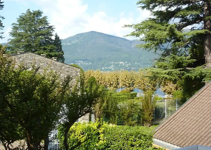 Hermitage Mimosa Daire *